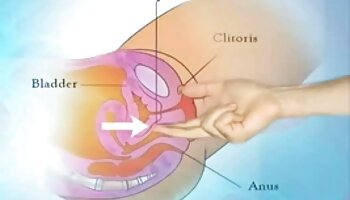 Phụ nữ tải phim sex về coi trong vớ không một số hậu môn